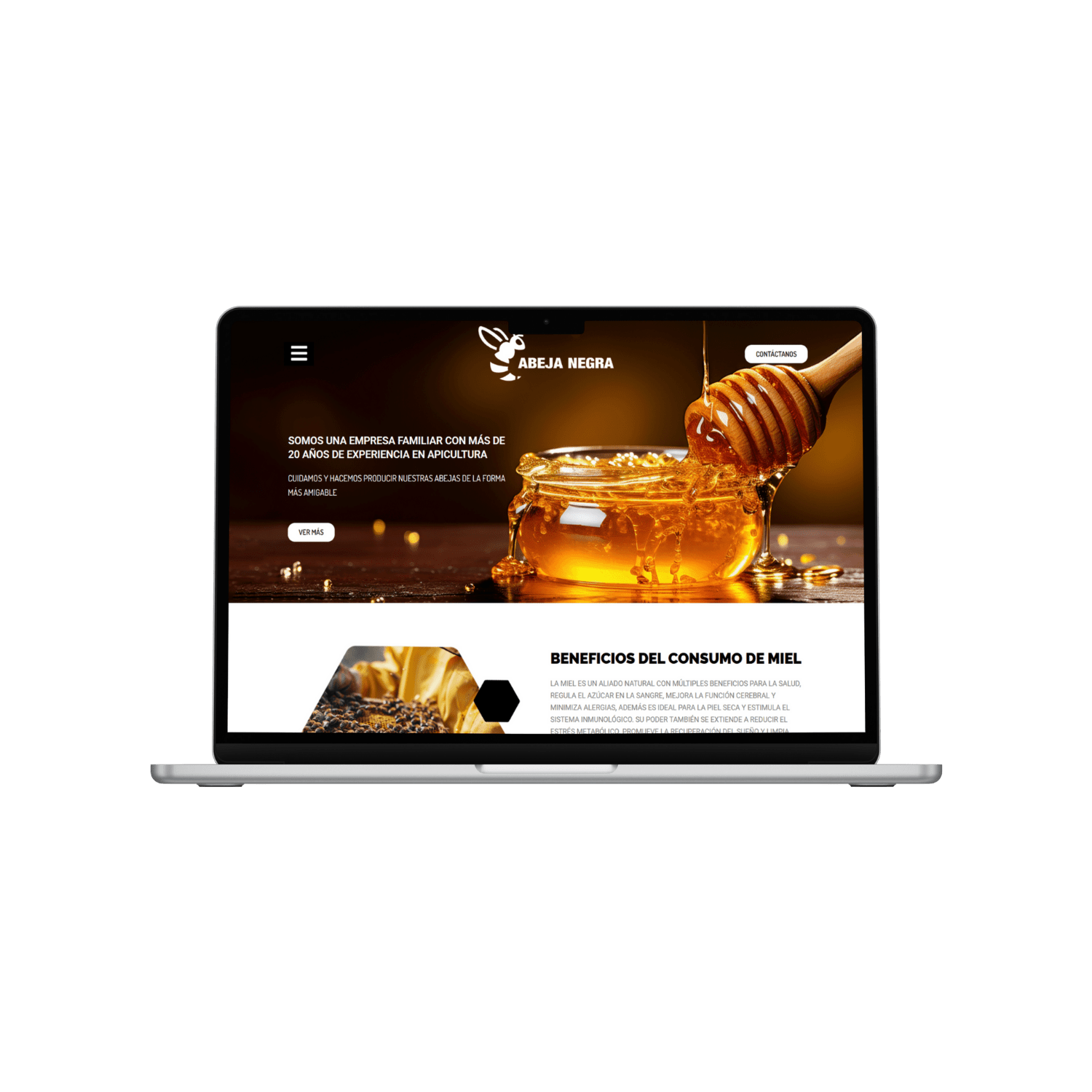 Web con Agendamiento